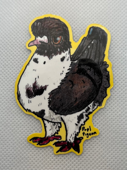 [Sticker] Gazzi Modena - 3 inch Vinyl Sticker