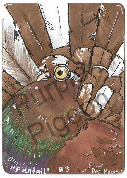 Artist Trading Cards